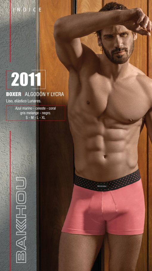 Bakhou Art 2011