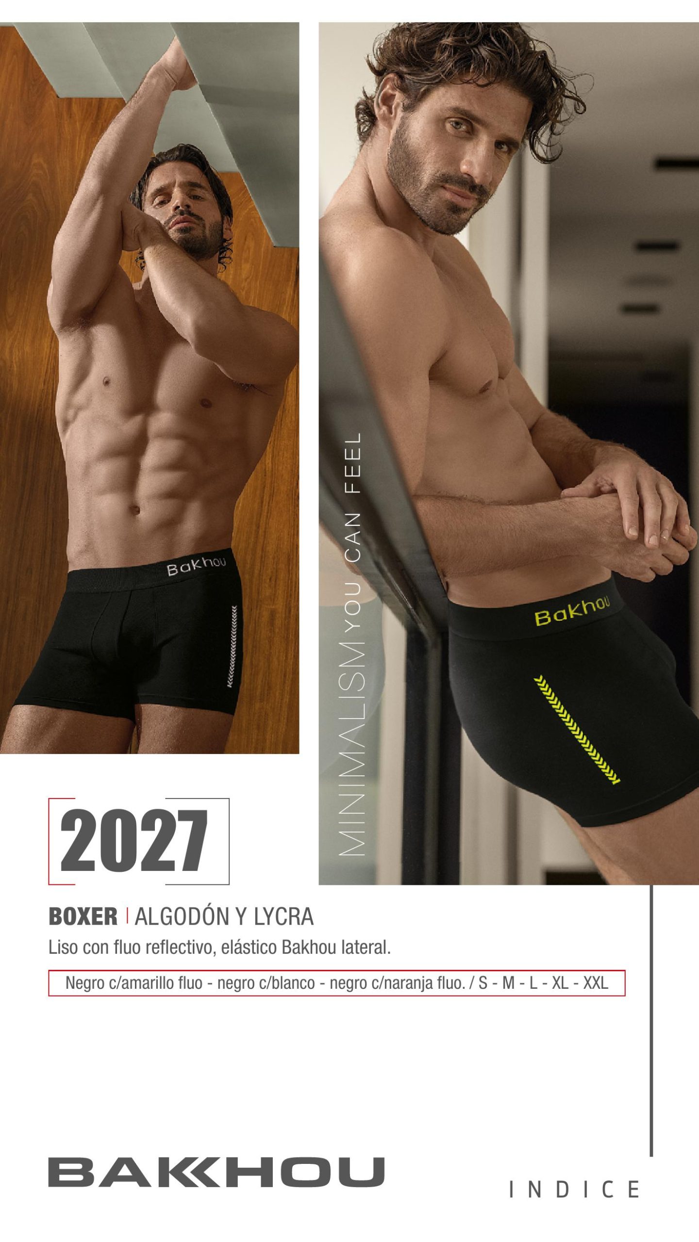 Bakhou Art 2027